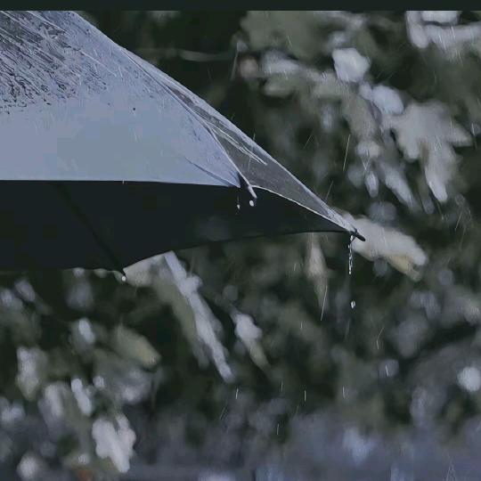 只有在梦里的人才会做梦