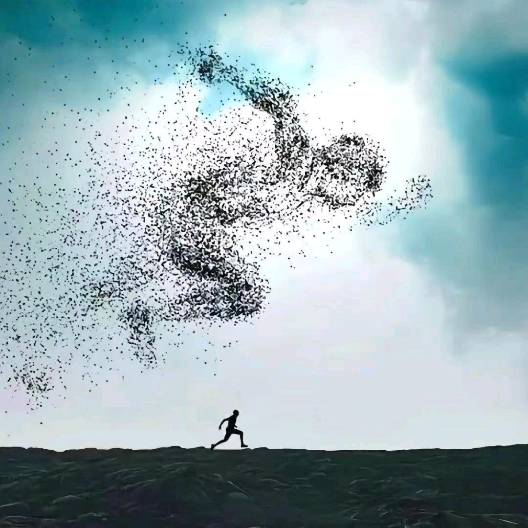 体育赛事-DQ