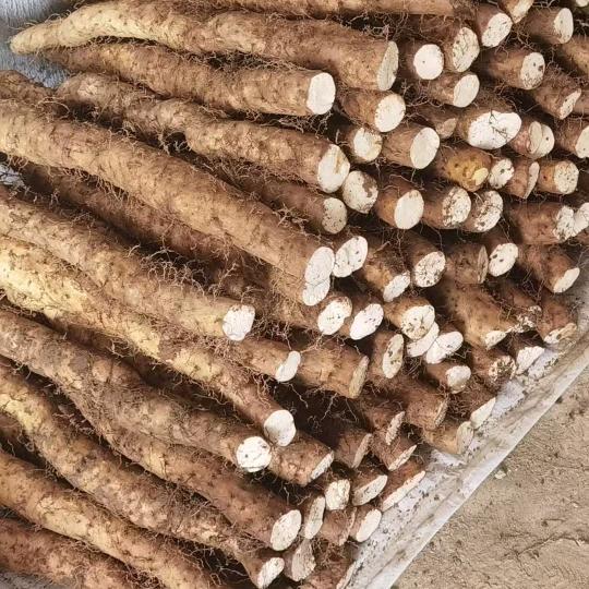 利川硒都土家特产