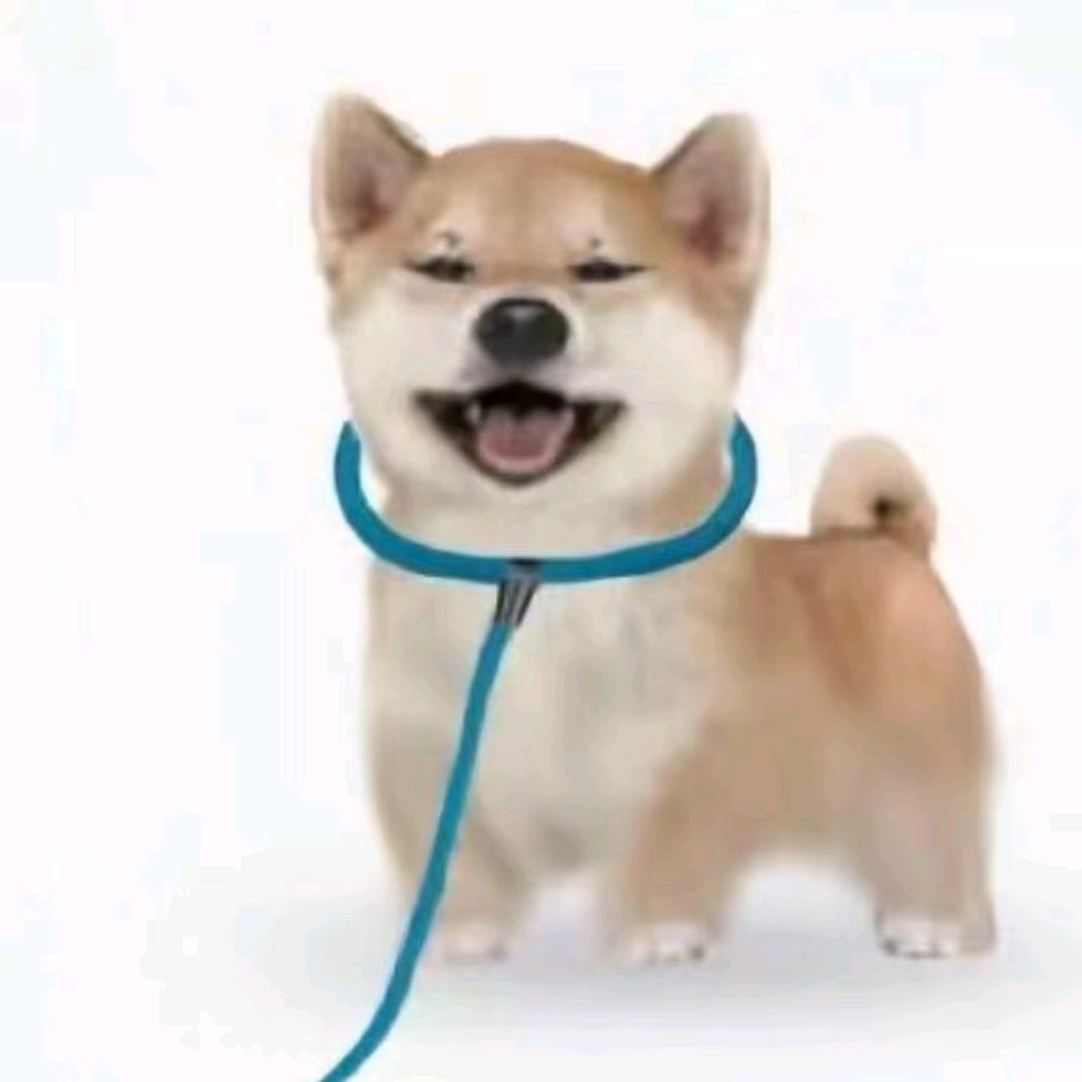 李佑路