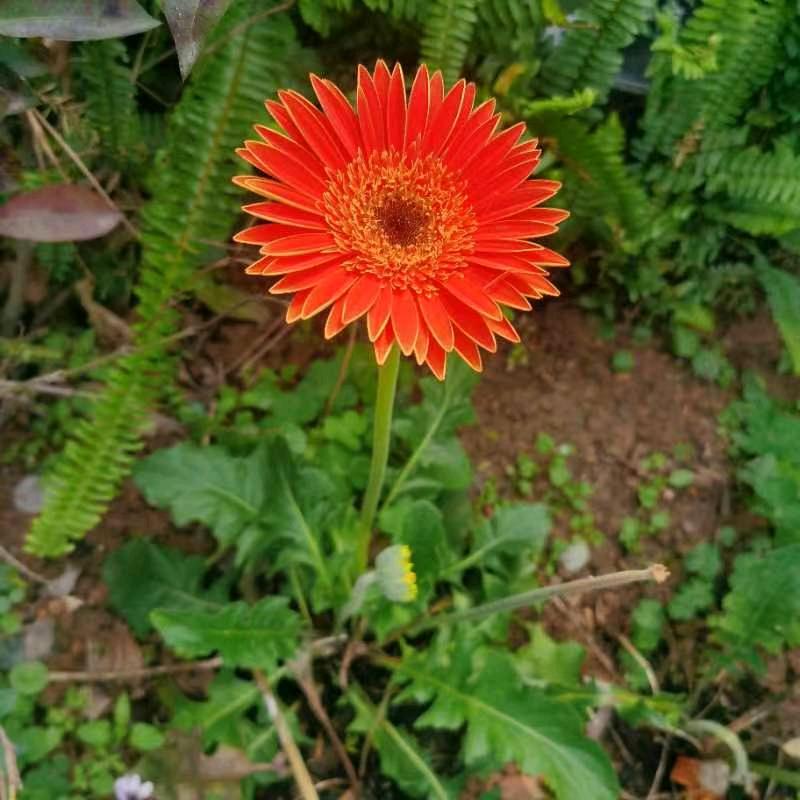 周周有钱花