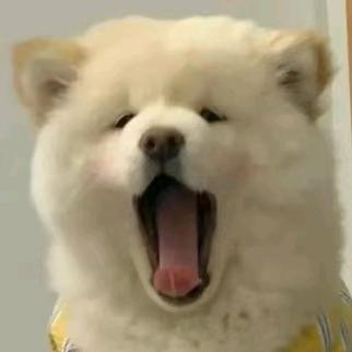 Drunk小熊