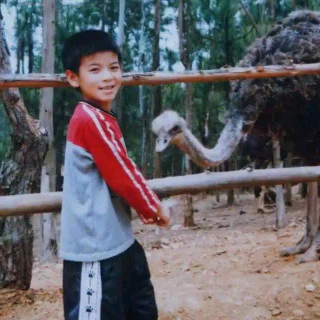 多管闲事管理局 王爽