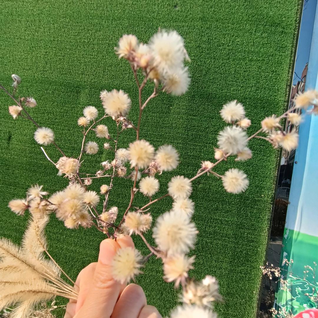 半步之遥