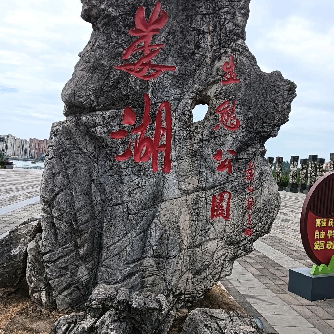 黄蜂幼崽（野生）