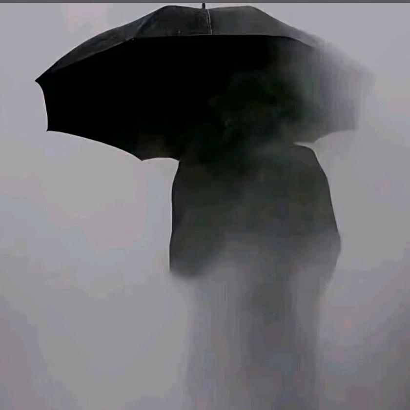 啊洛（在努力中）