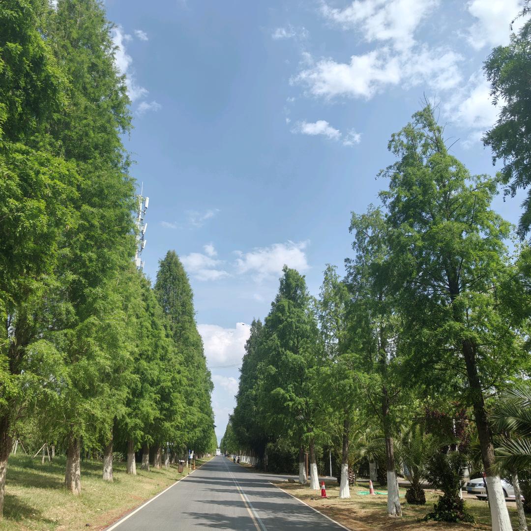 鑫隆&