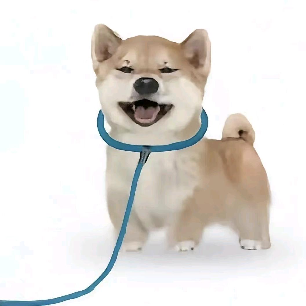 吃饭了吗吃我一拳