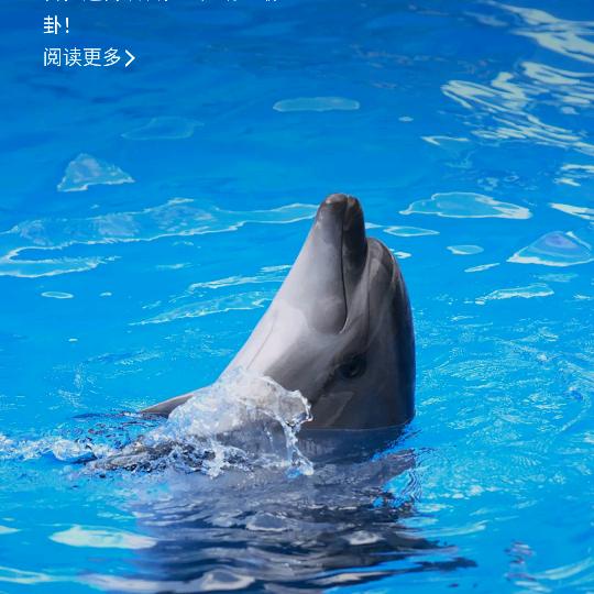 木木木木推荐