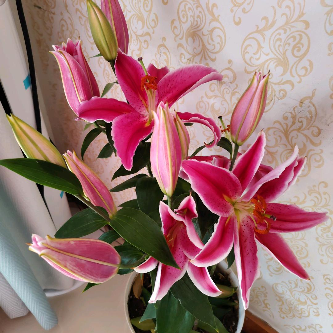 A2替班女司机🌻汐玥