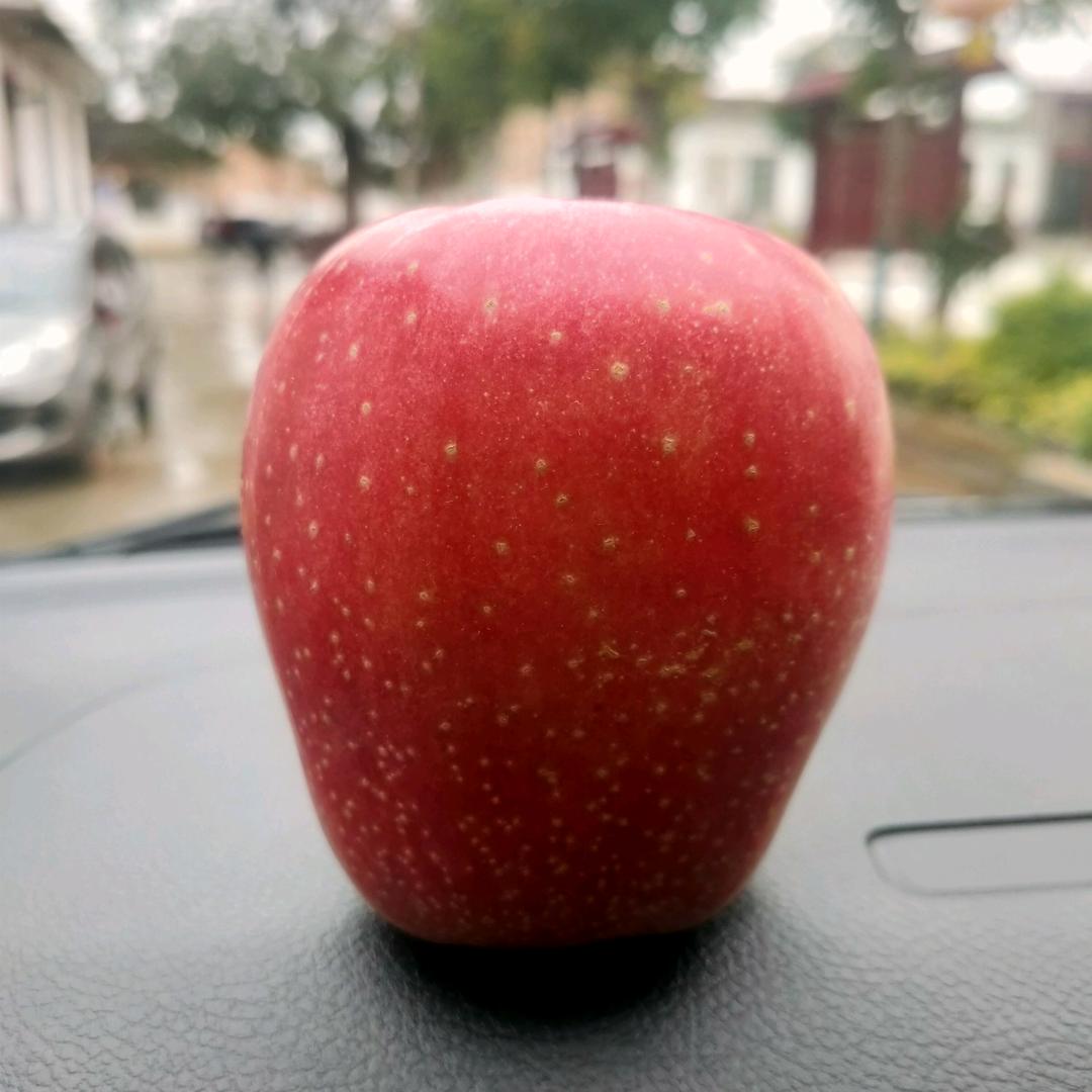 雨露均沾