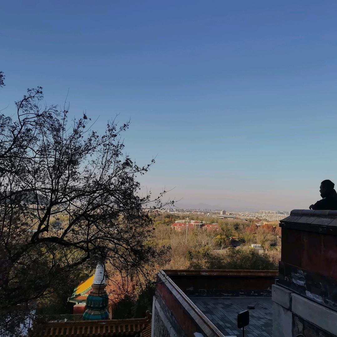 人到中年不得已