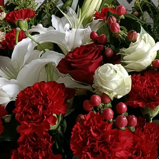 💔💔顺其自然💔💔