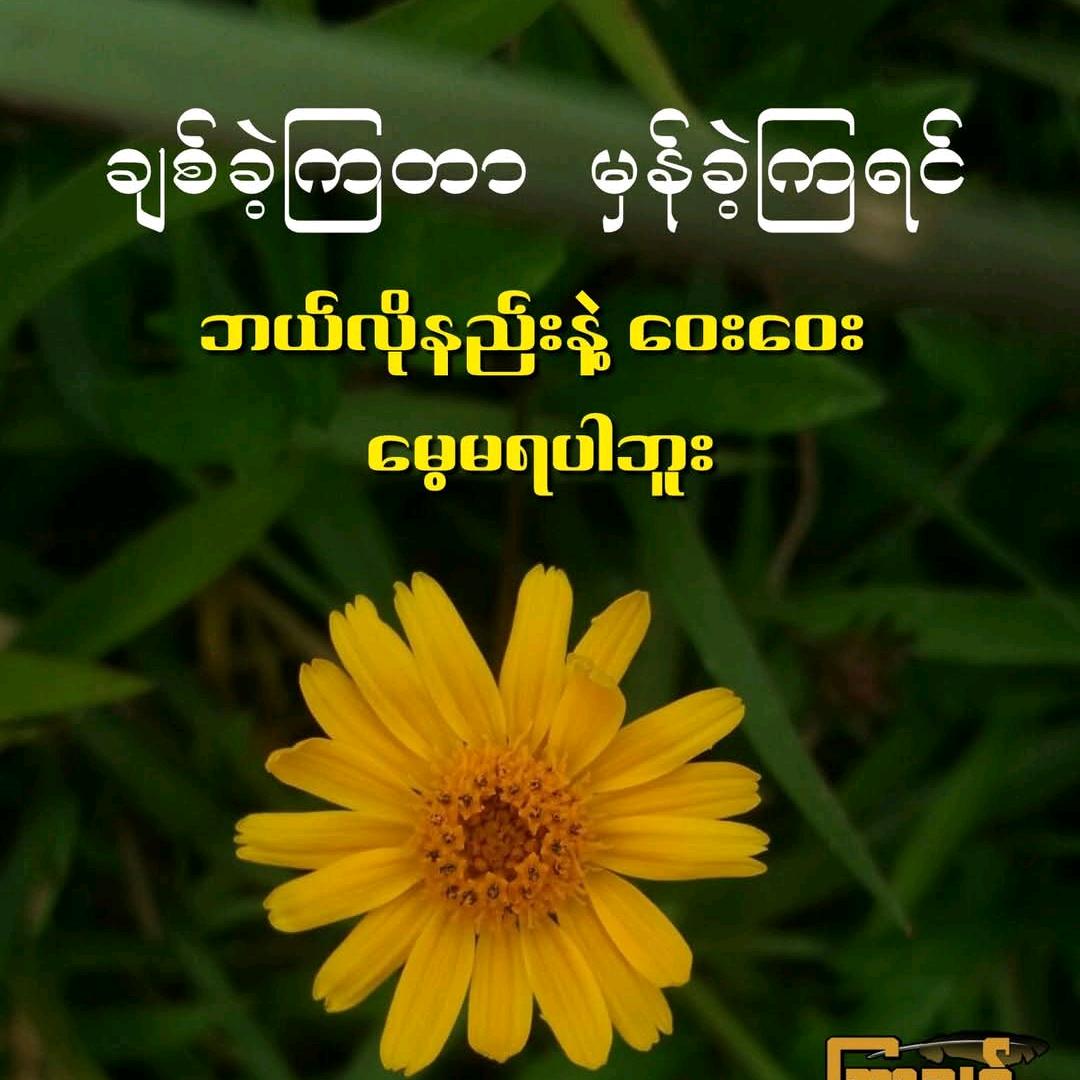 အ~ရိုင်း~ပန်း~