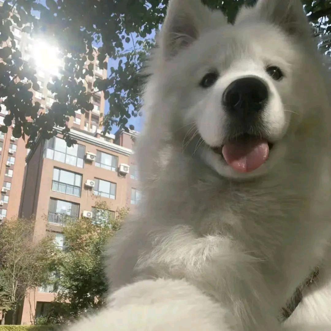 今天没洗脚
