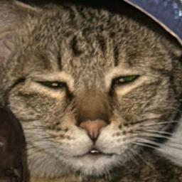 胖子！！！（不减20斤不改名）