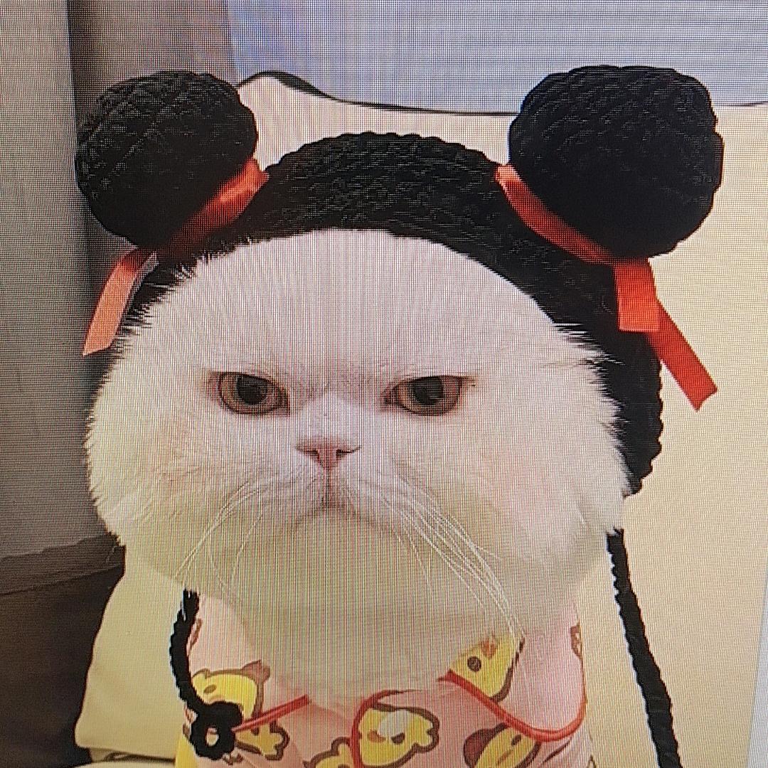 萌宝