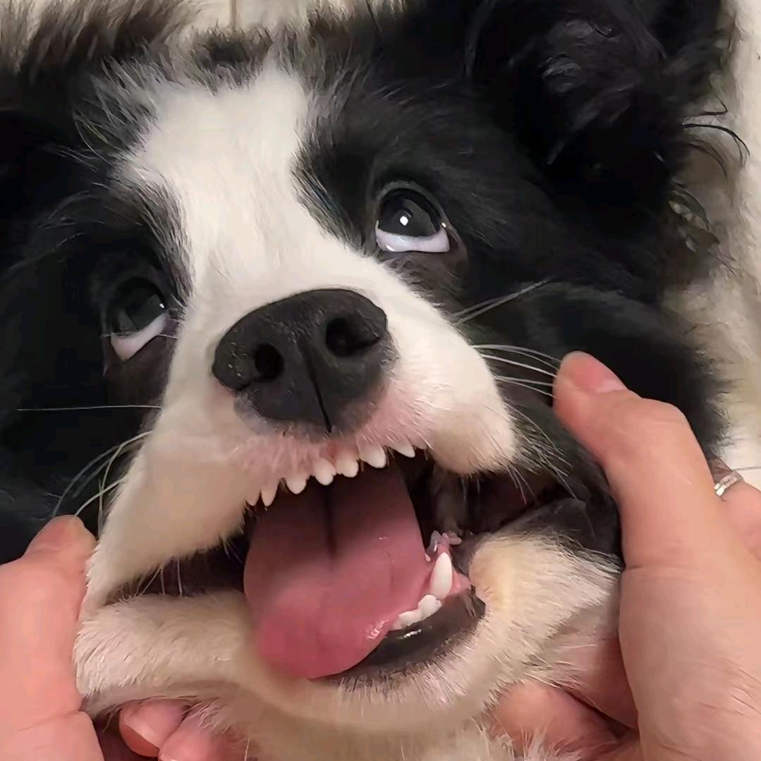 红
