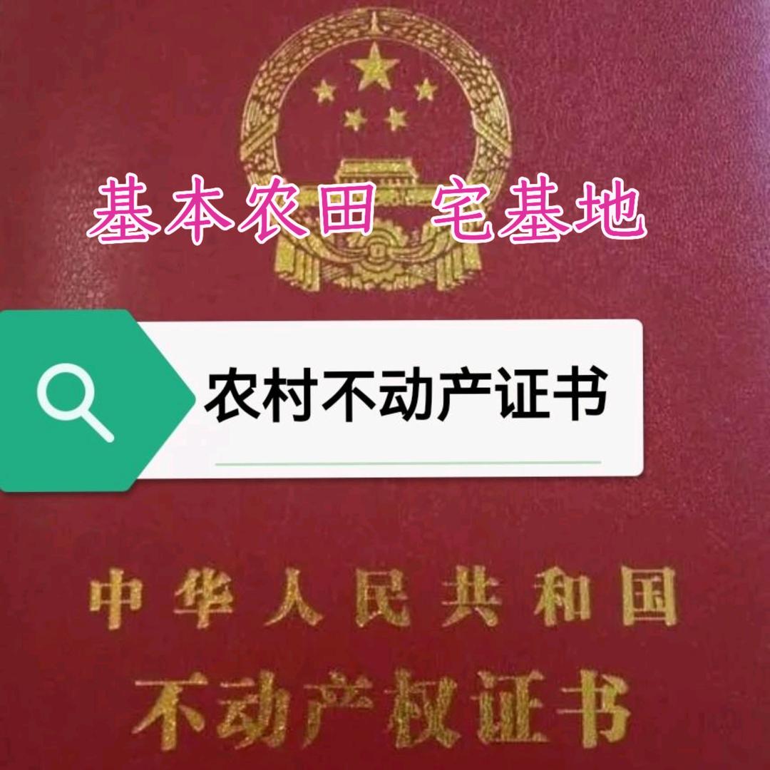 农村土地宅基地咨询（小王）