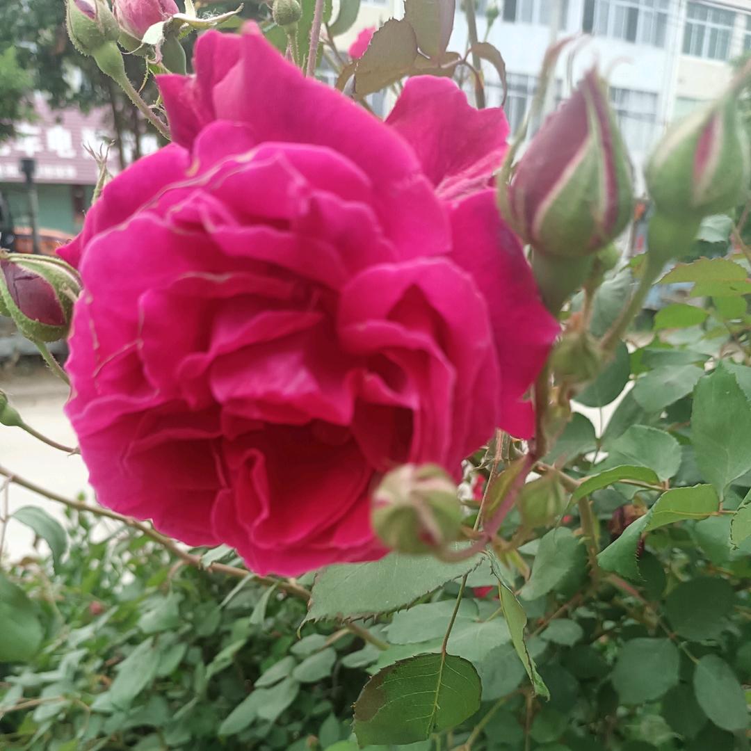 人生如梦，一场空