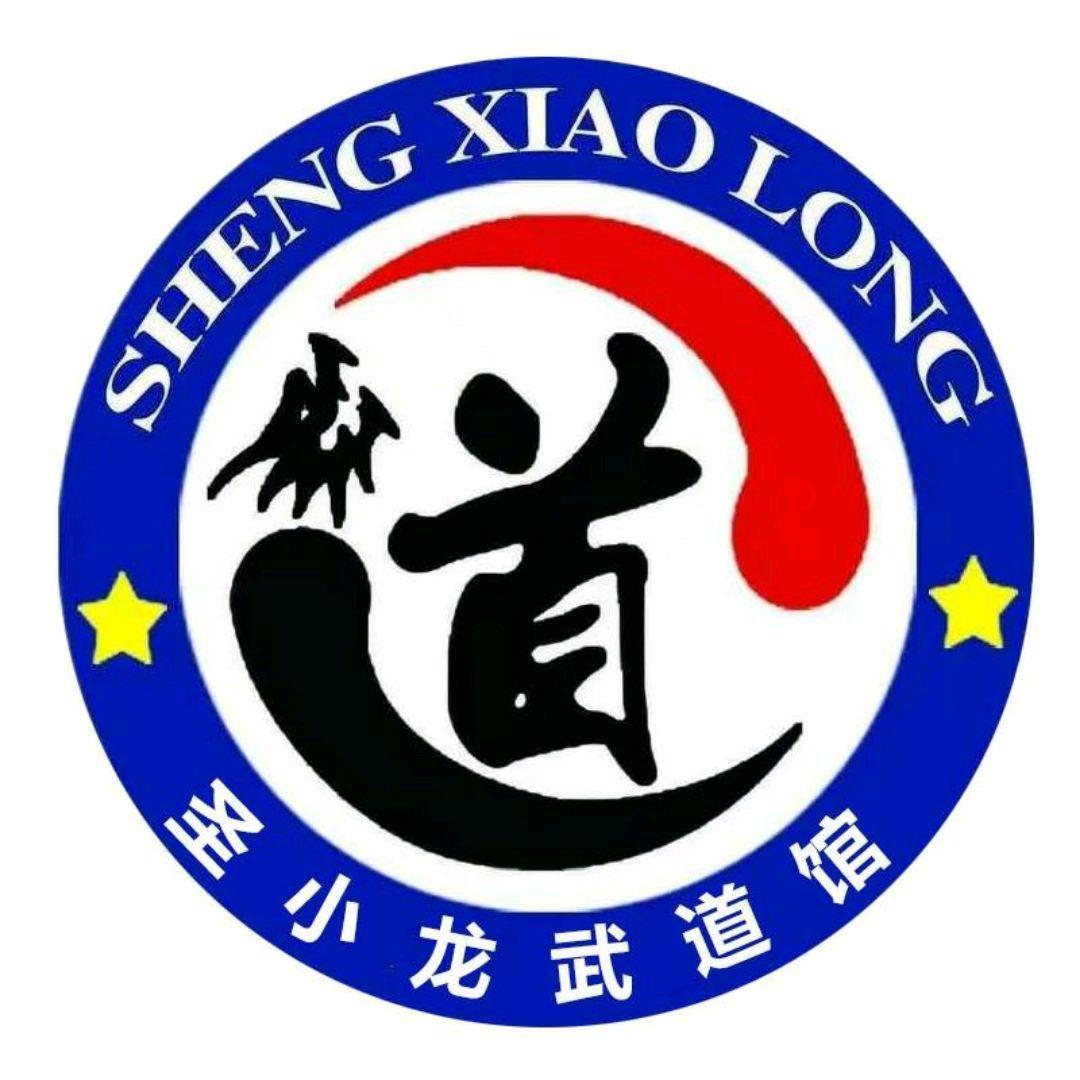 圣小龙武道馆全国总部