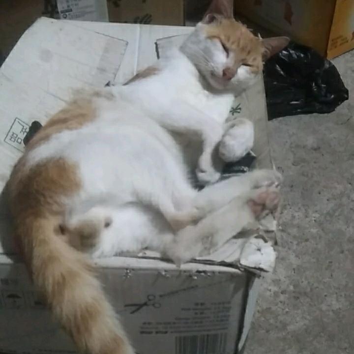 广东十虎方世钰