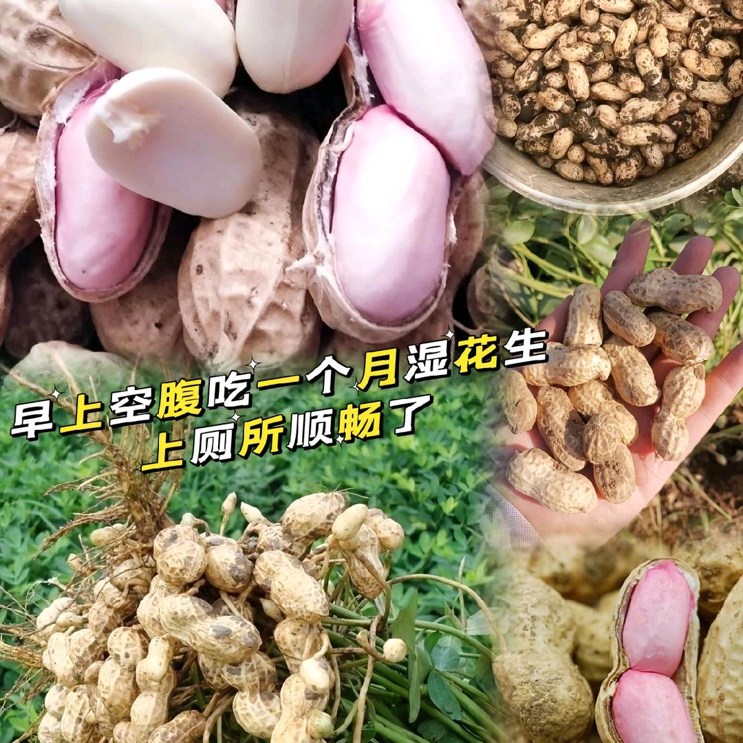 湿花生，落花生，落生，花生米，三农