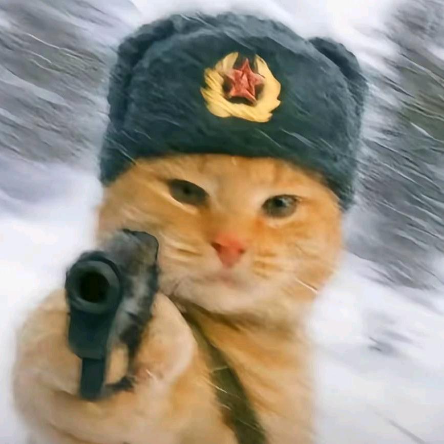 落坨翔子（csgo）