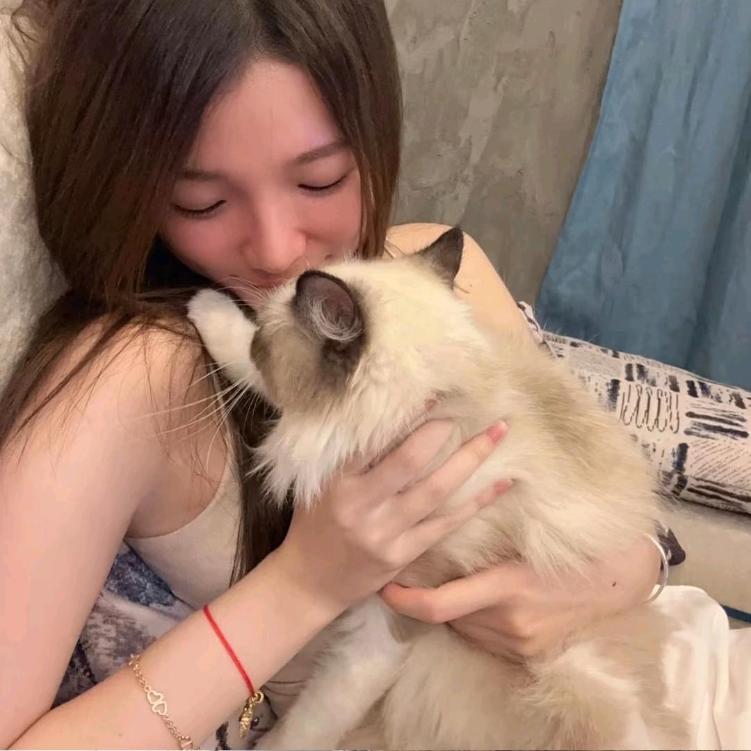 圆   .