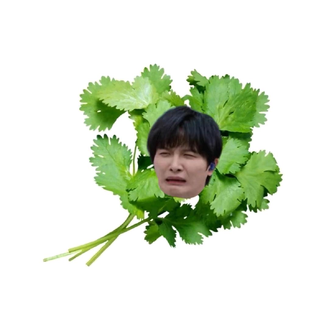 卡布叻_××