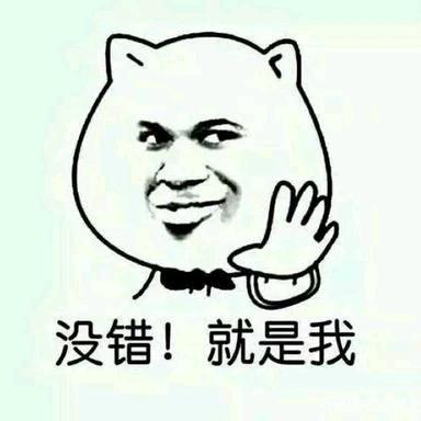 （TONY）入坑极品飞车