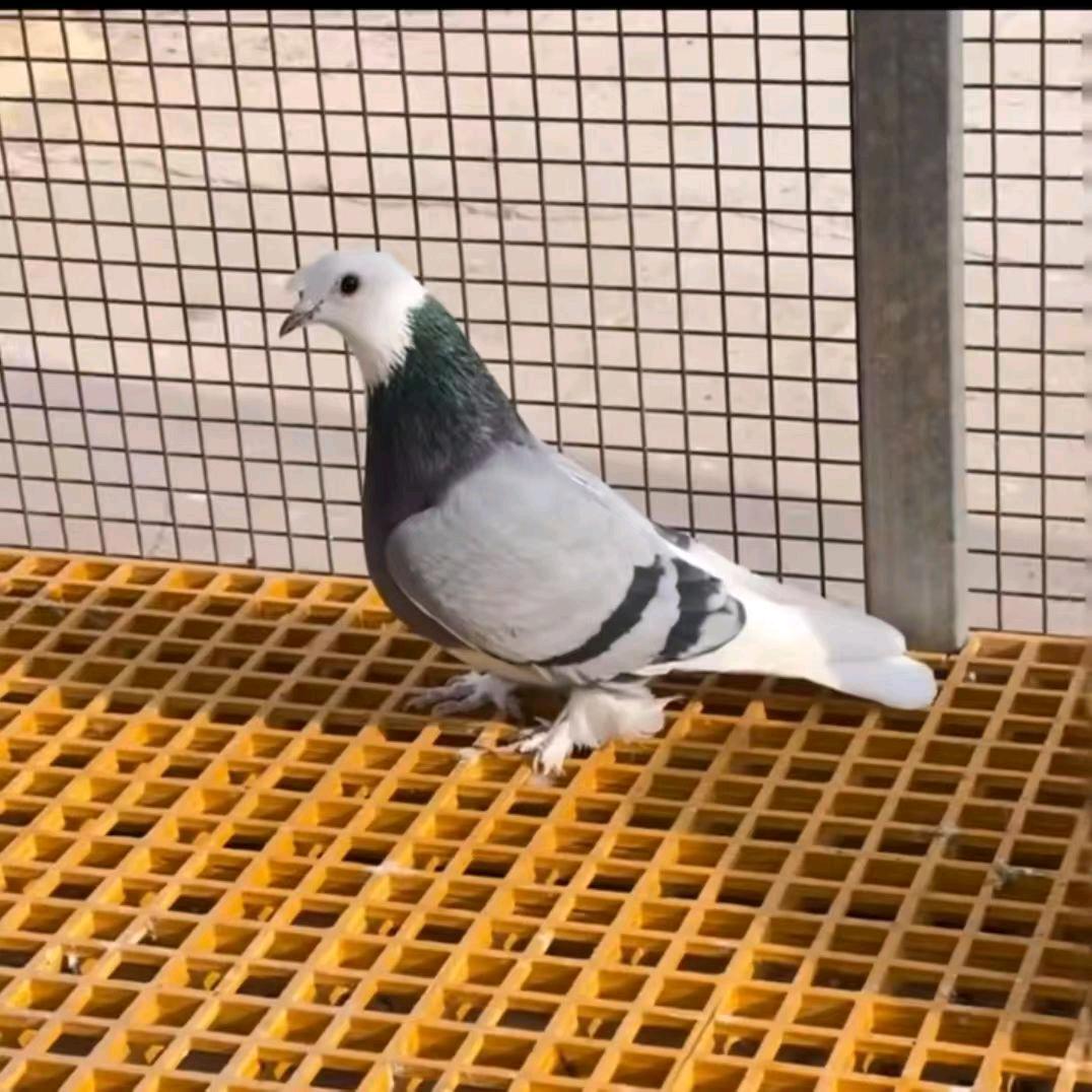 掉转中的天花板