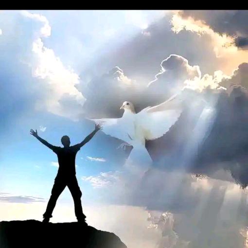 单色黎明🪨（问题不大）