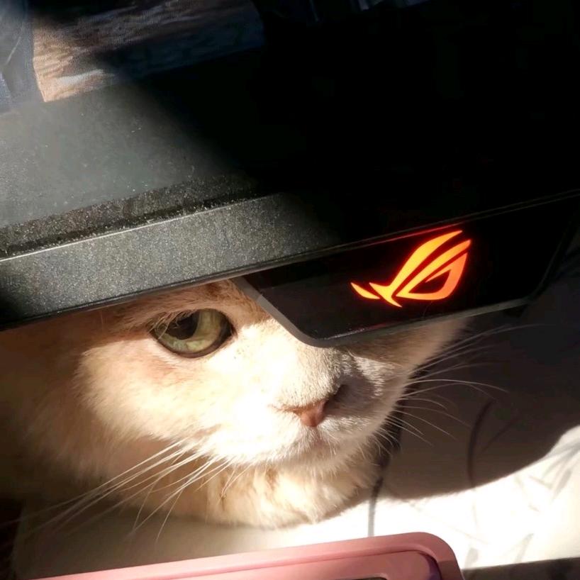 otto