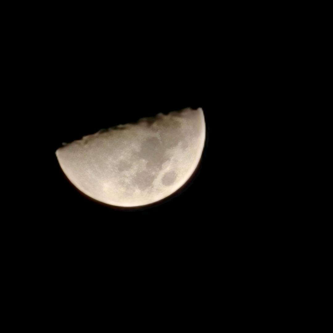 冷落々了＆自己