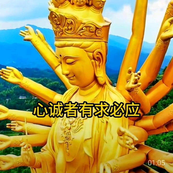 刘姐手机壁纸