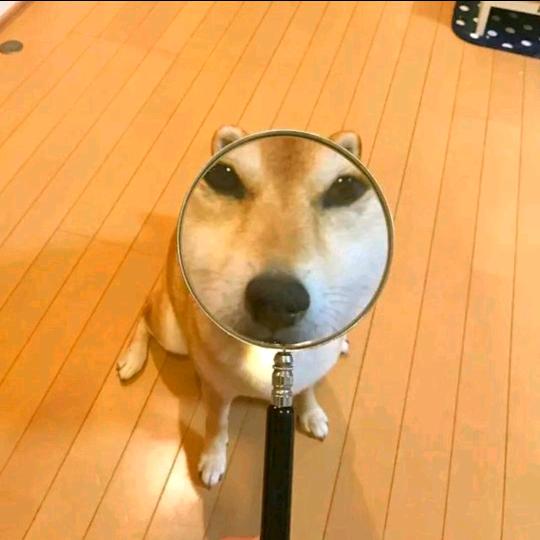 ⚡