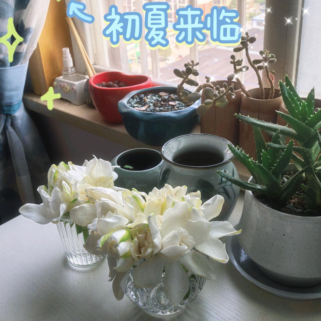 上班不就是要摸鱼吗