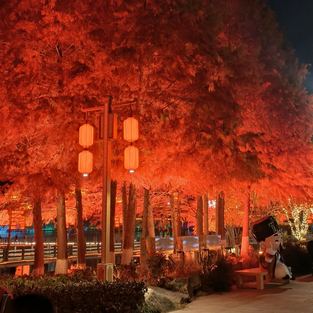 恭喜你，上岸了😊