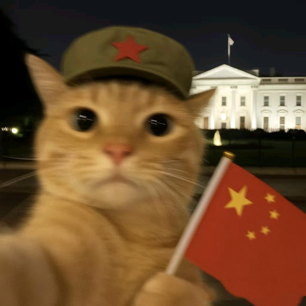 晚山衔月