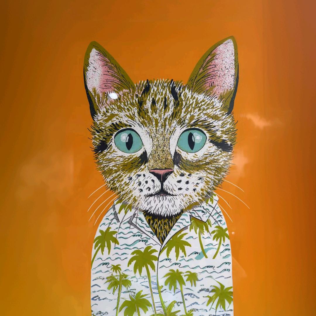 🌈神龙斗士🗡️