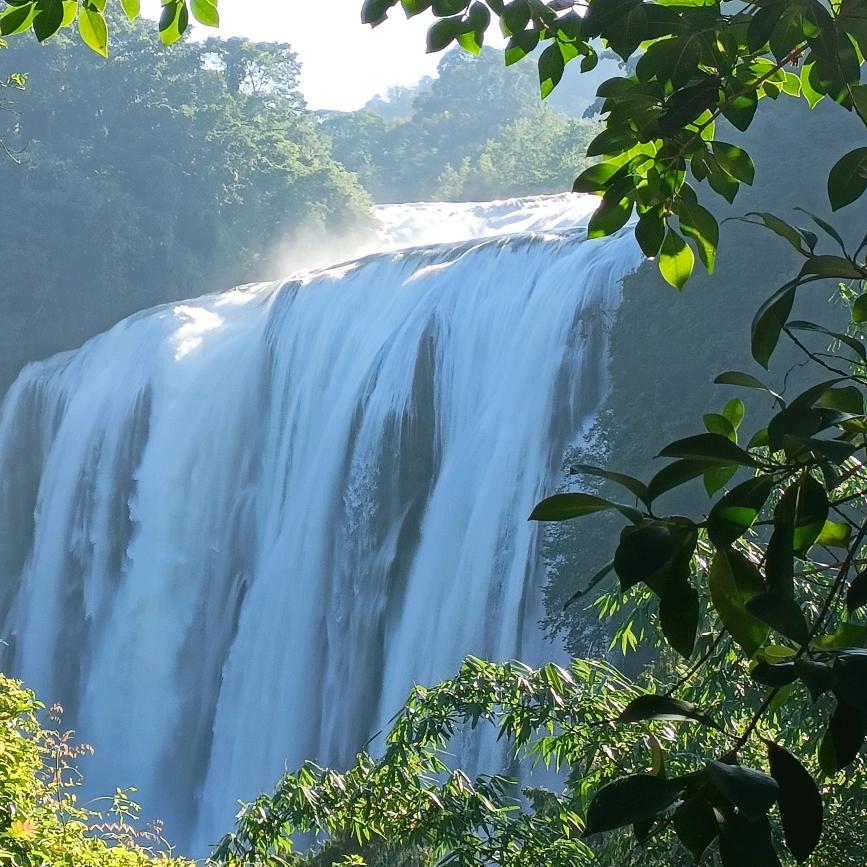 🐰🐰小白兔🐰🐰