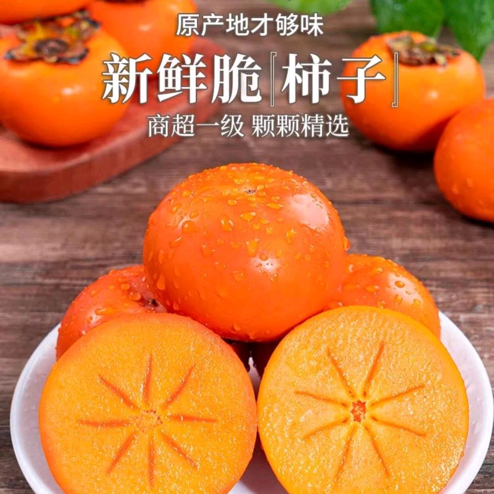 言禾子沫（柿柿如意）