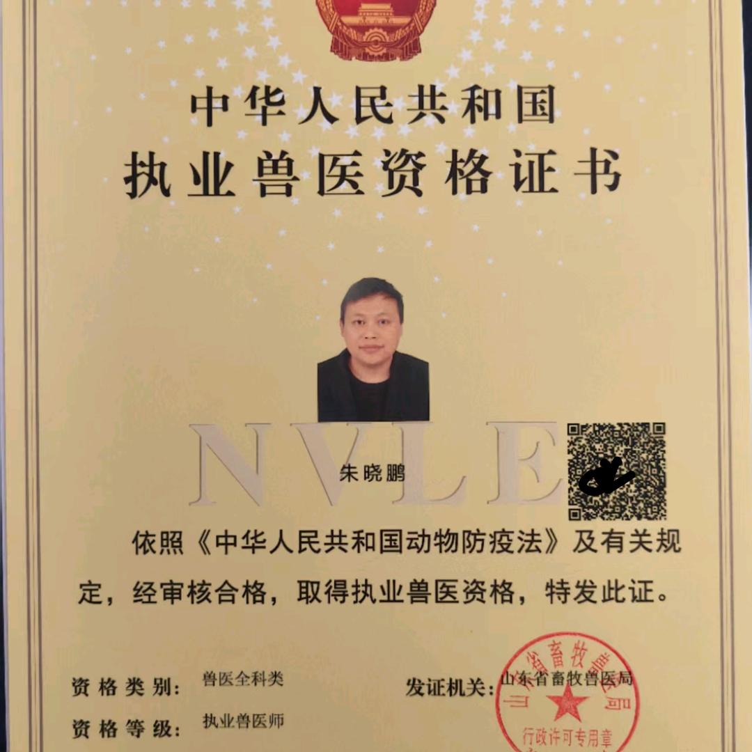 兴旺朱晓鹏