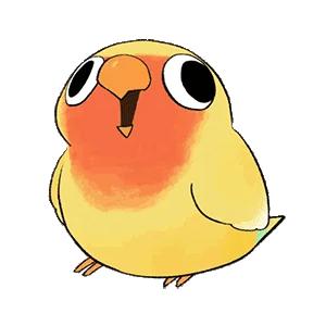 邹平凯轩鑫商贸有限公司