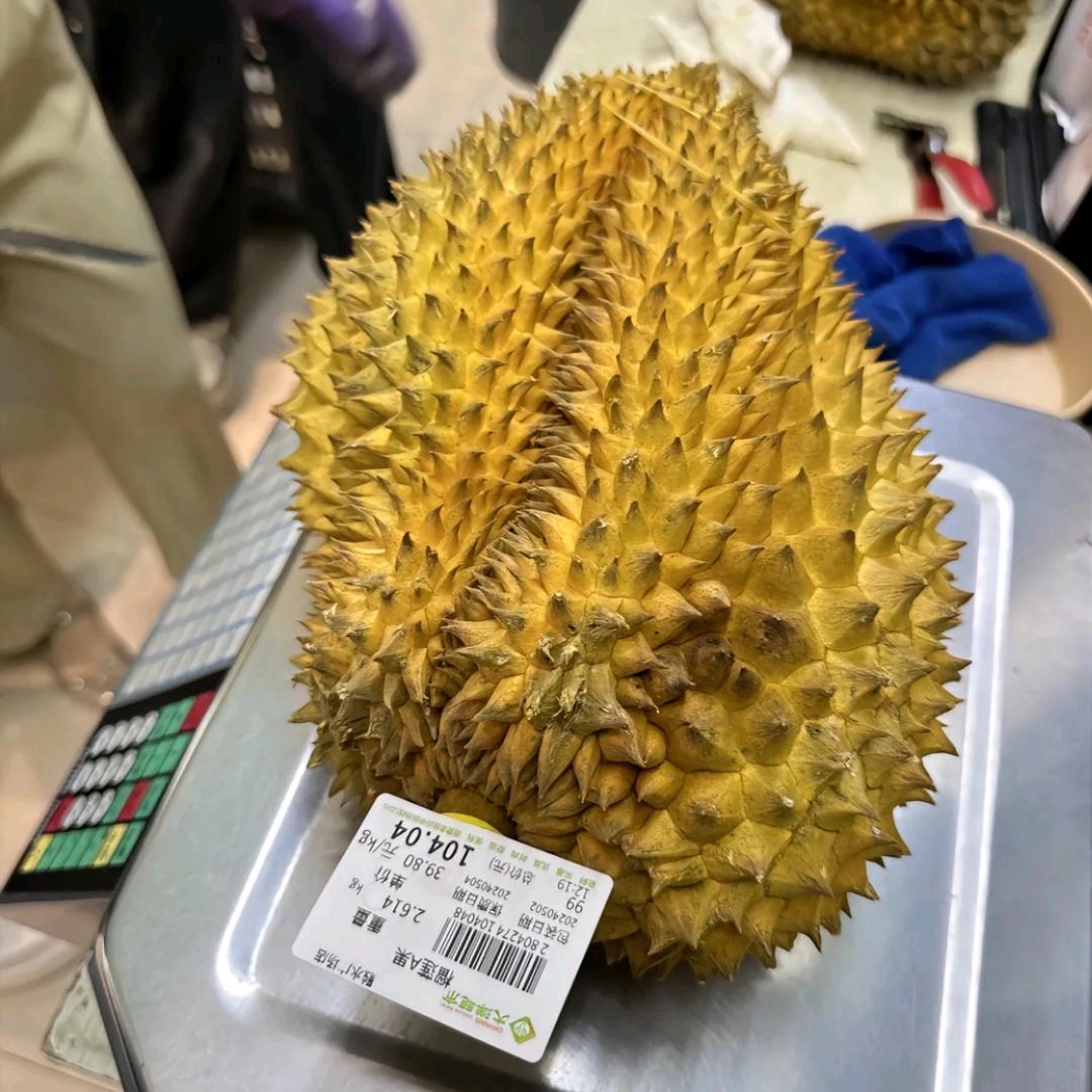 👏👑茜妆暴兔👑