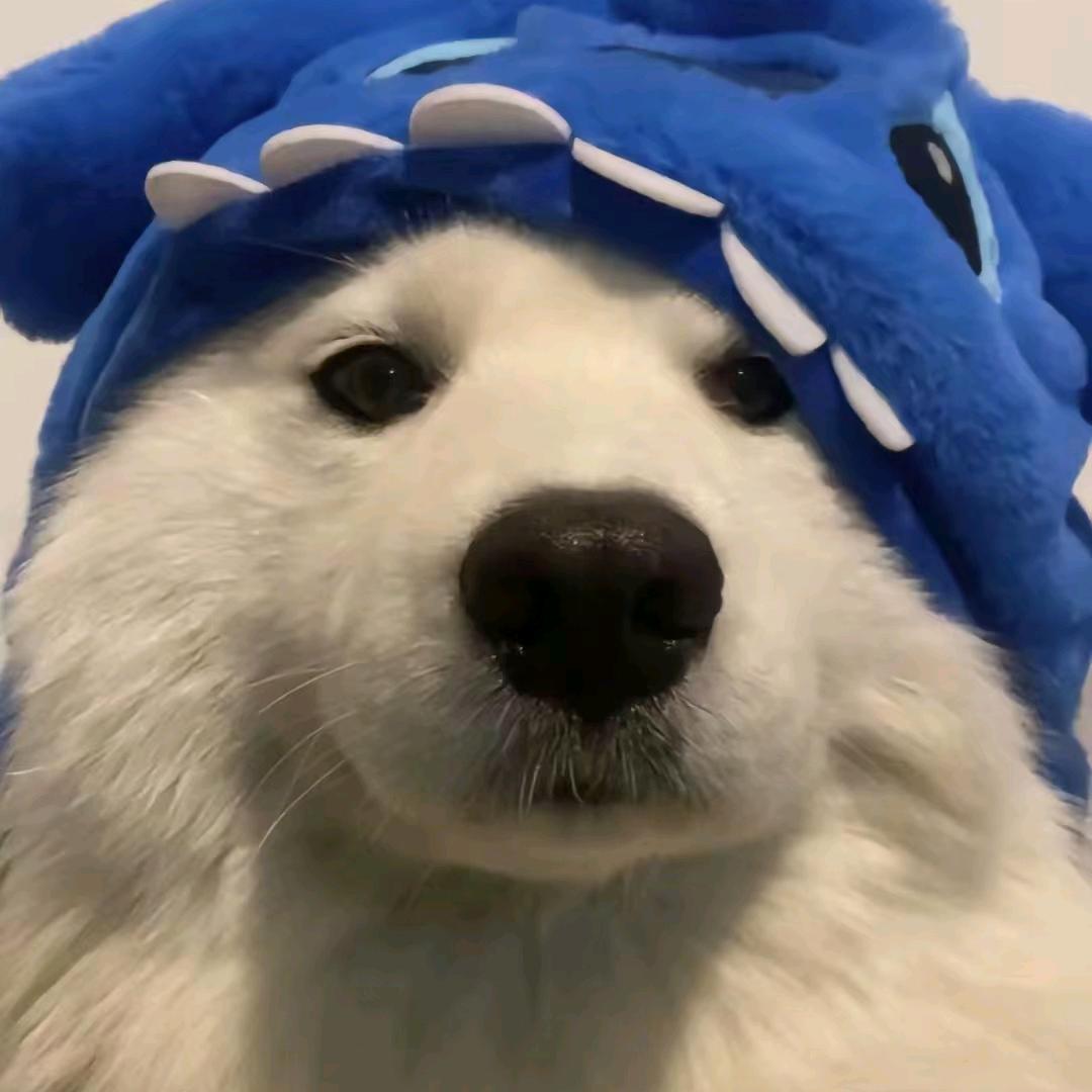 空心的心眼子
