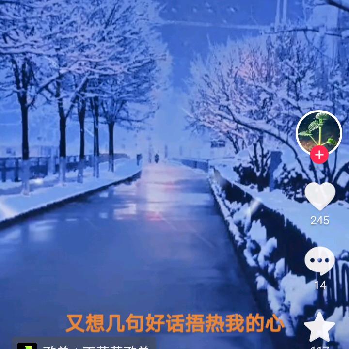 绿叶☘️