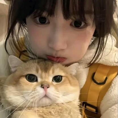 晚慕茗