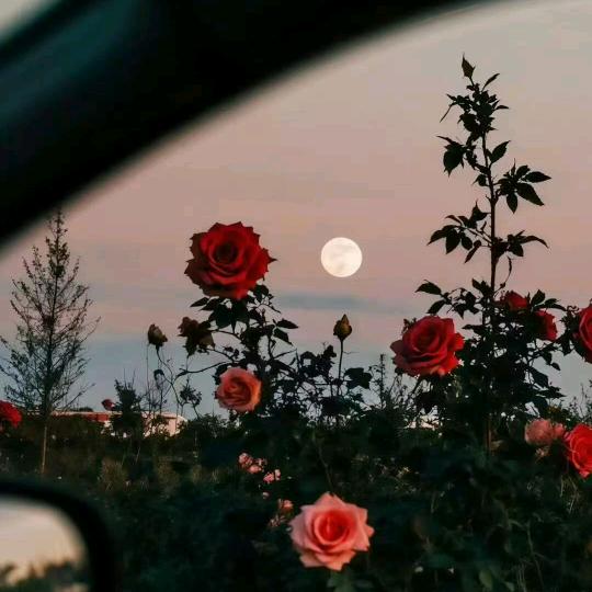 ✎往后余生请多指教……